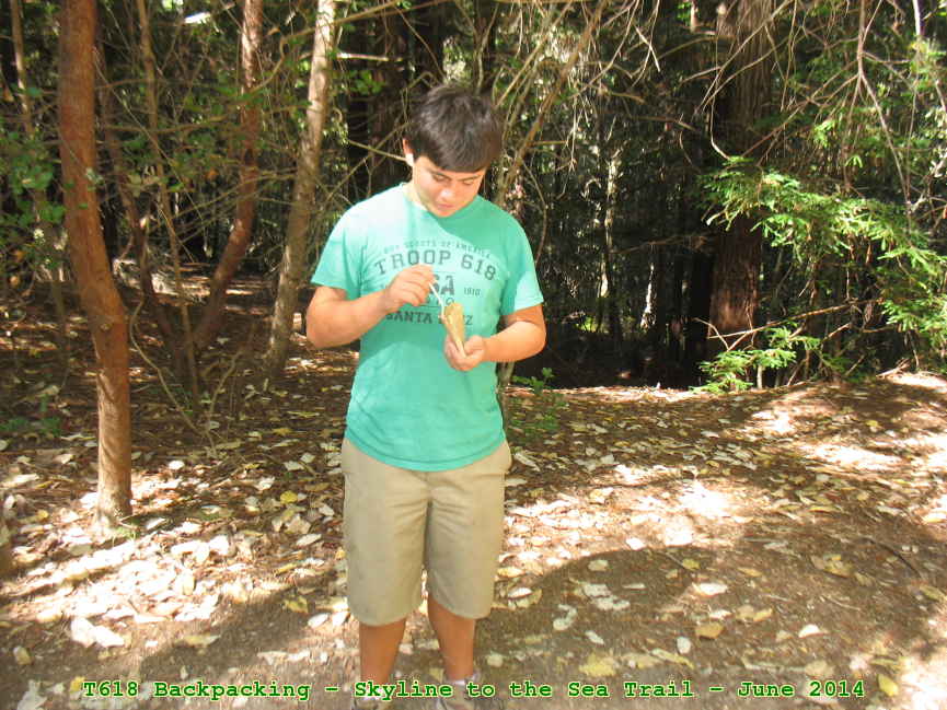 Picture 0013