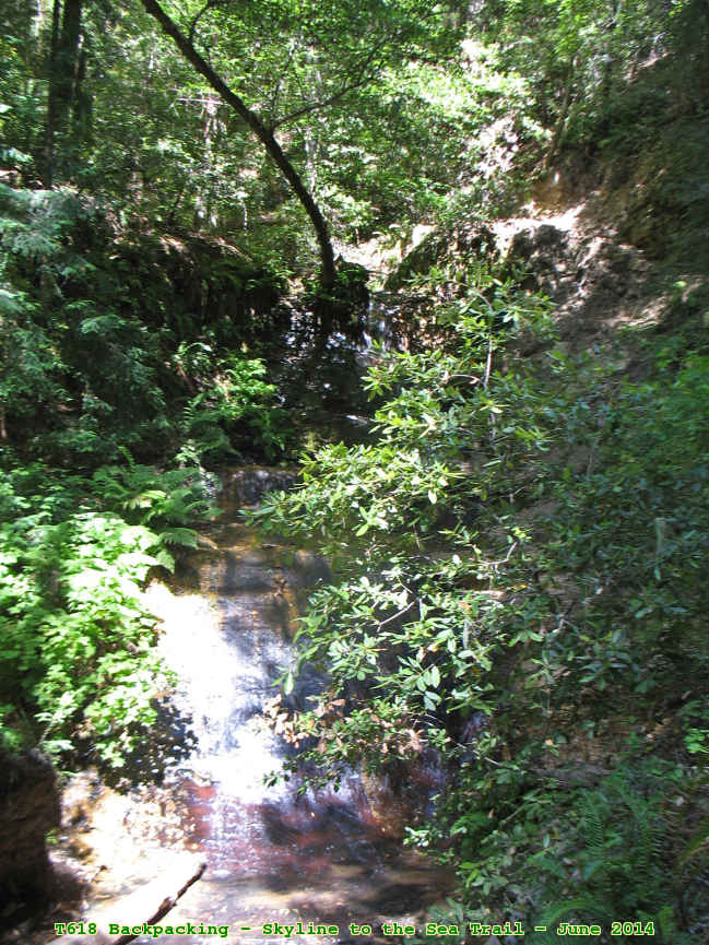 Picture 0016