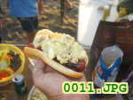 Picture 0011