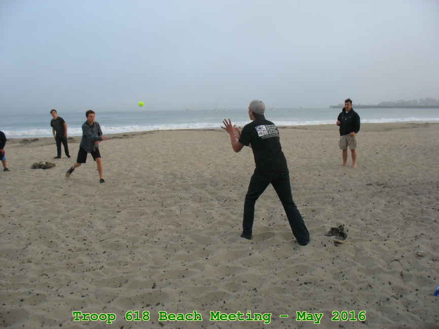 Picture 0008