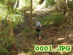 Picture 0001