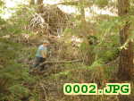 Picture 0002