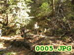 Picture 0005