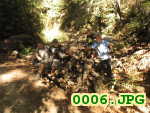 Picture 0006