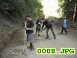 Picture 0008