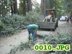 Picture 0010