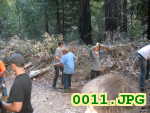 Picture 0011