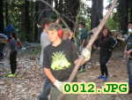Picture 0012