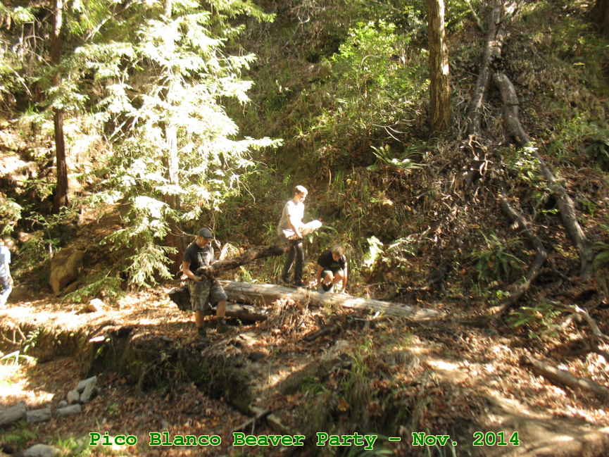 Picture 0005