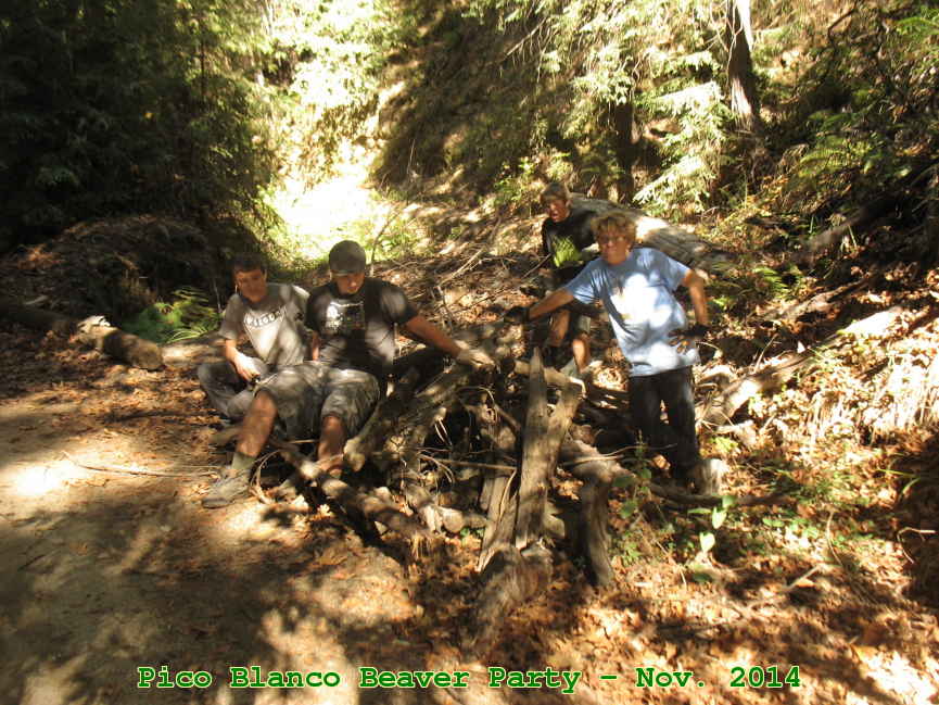 Picture 0006