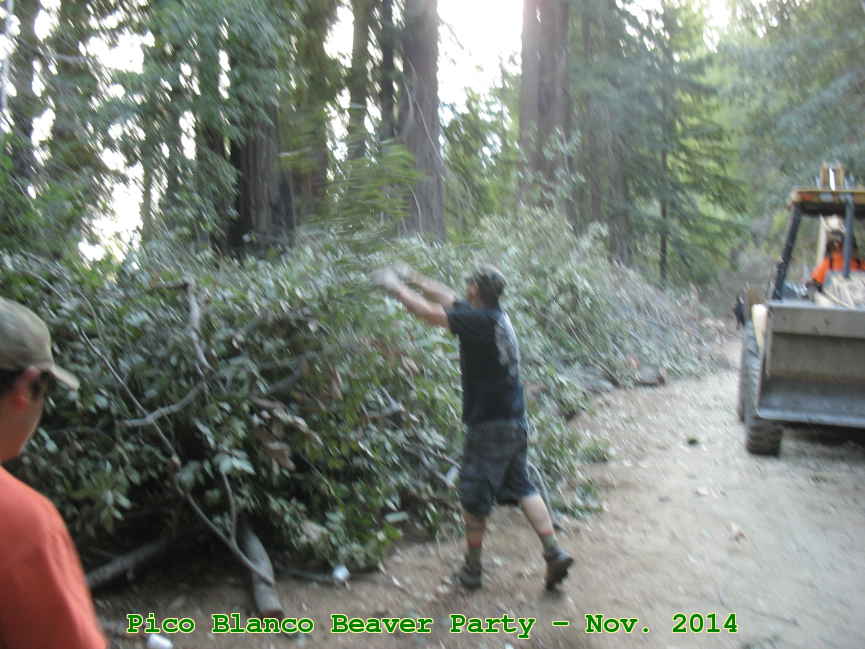 Picture 0009