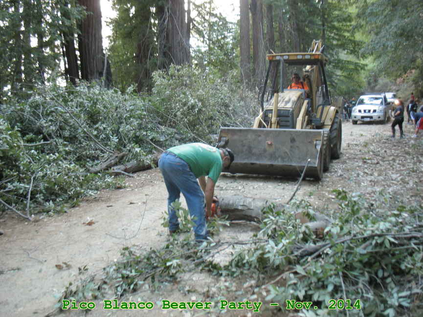 Picture 0010