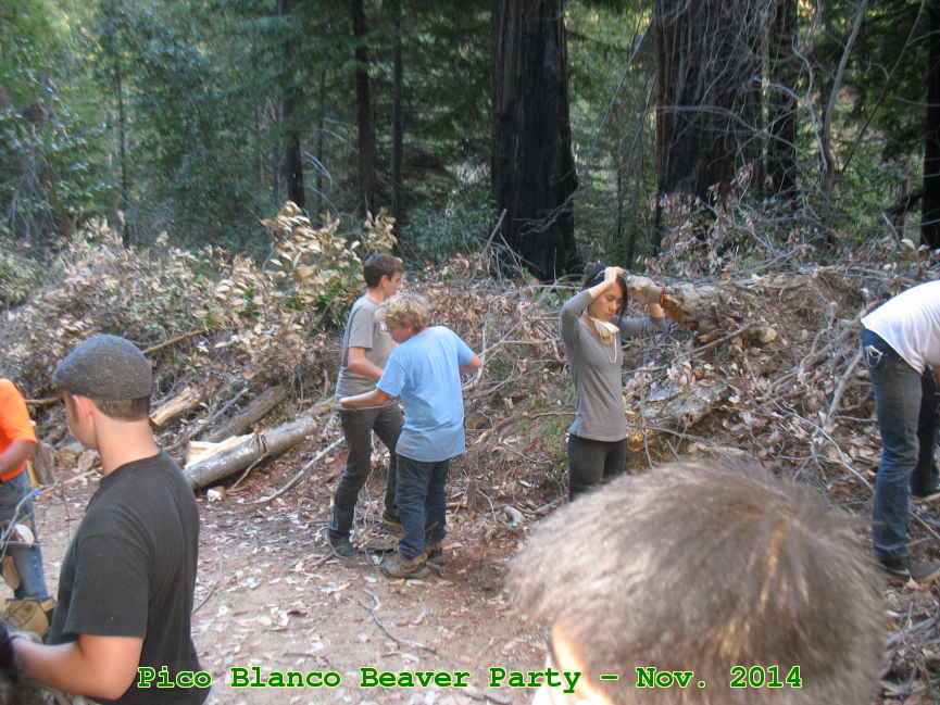 Picture 0011