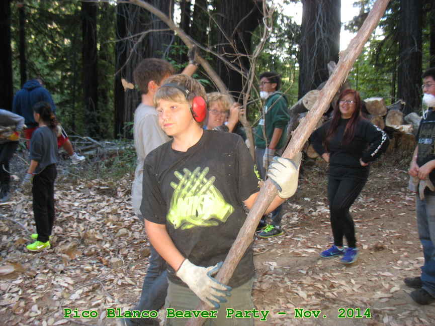 Picture 0012