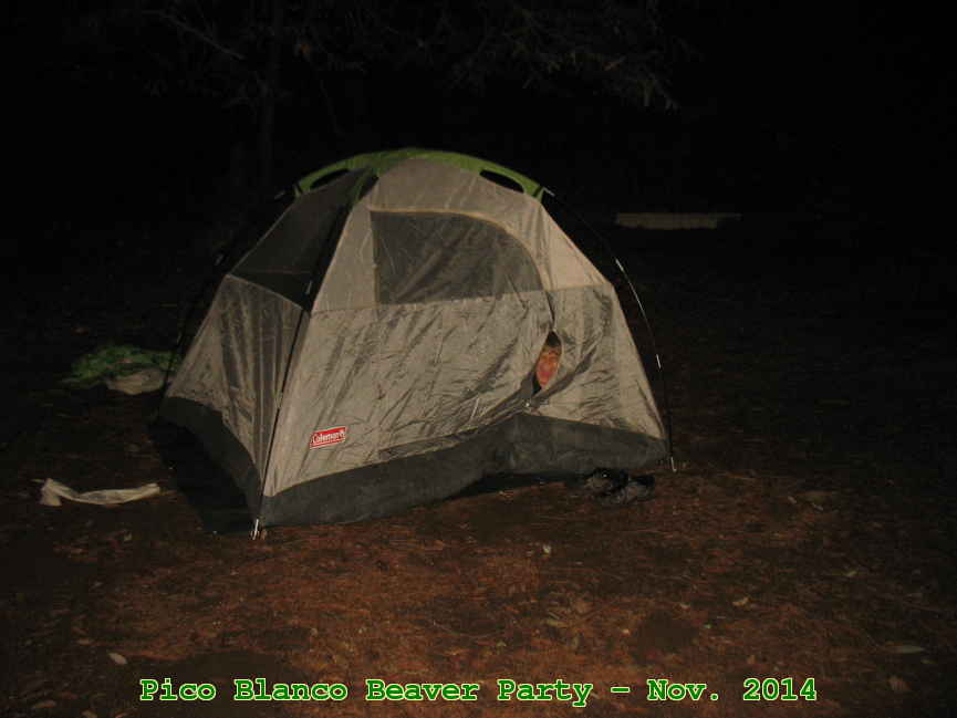 Picture 0016