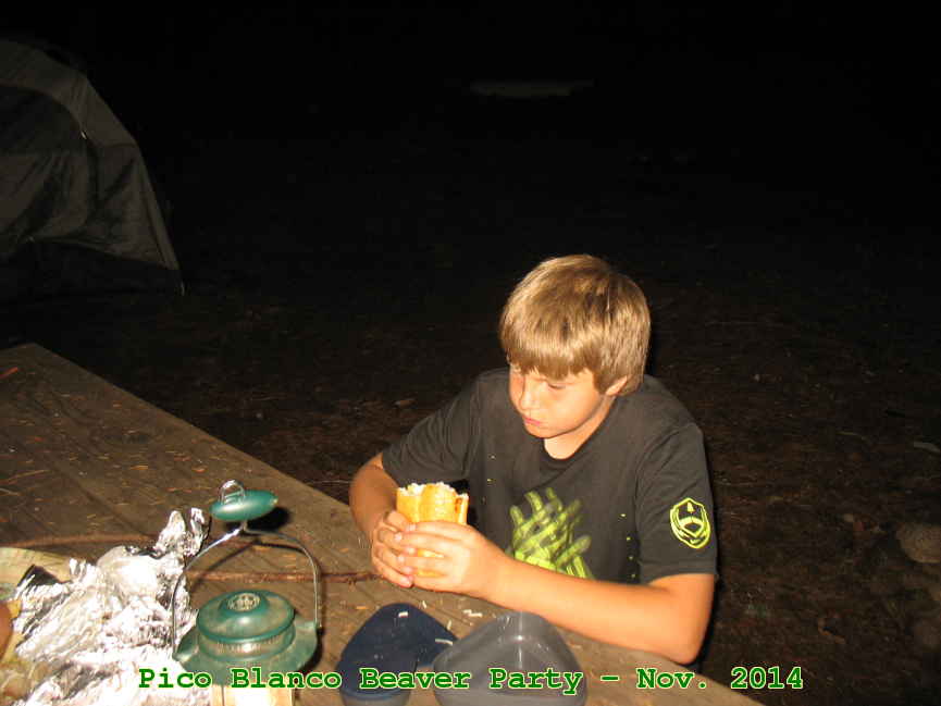 Picture 0017