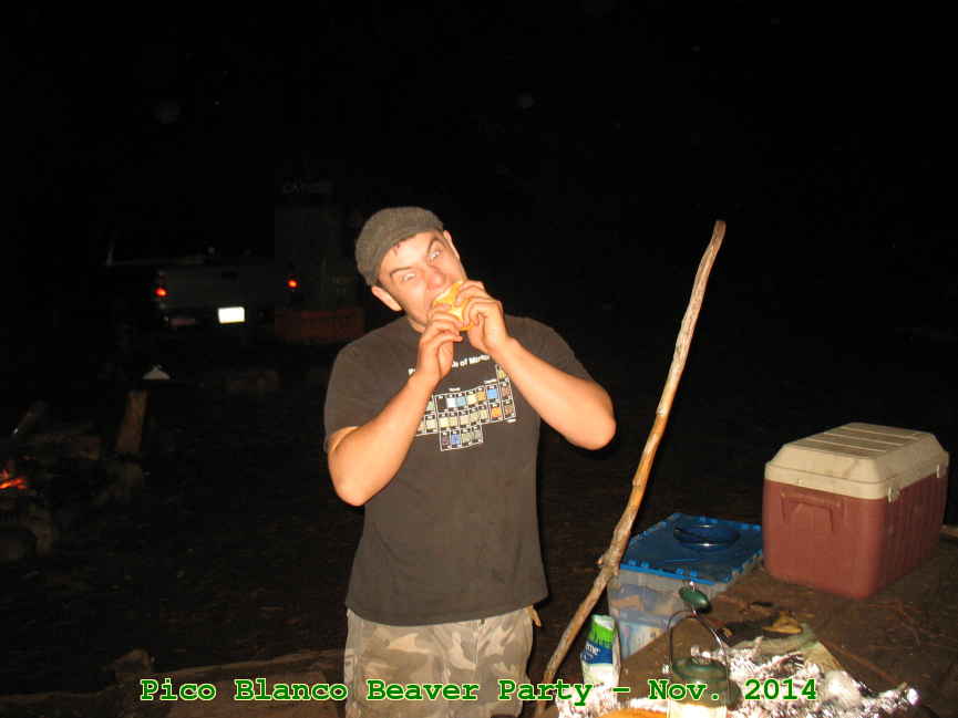 Picture 0018
