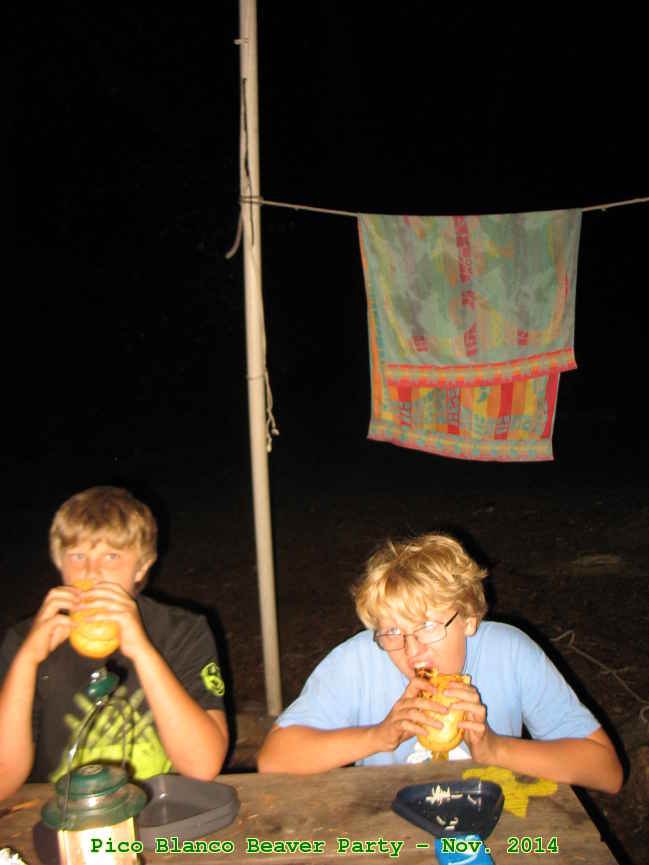 Picture 0019
