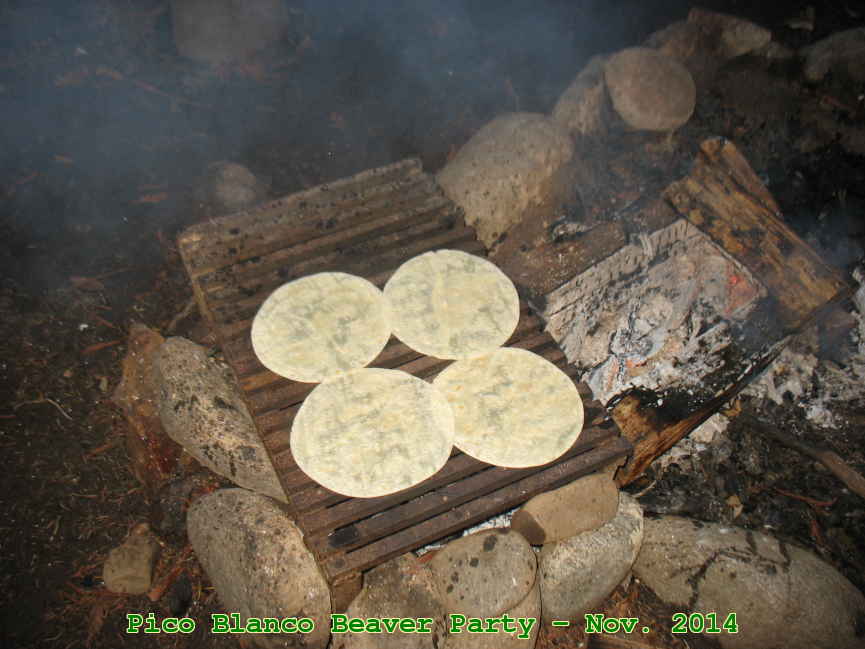 Picture 0023