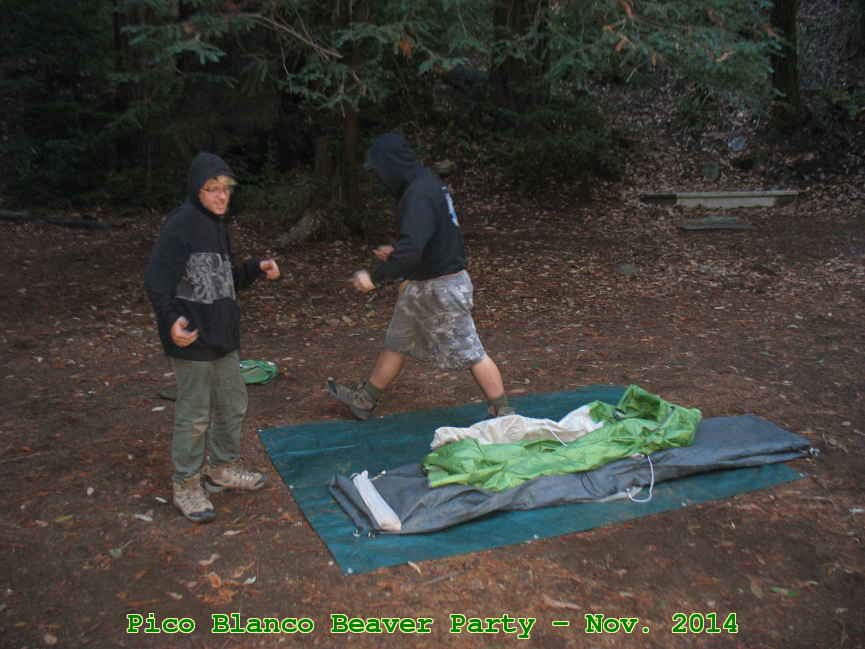 Picture 0026