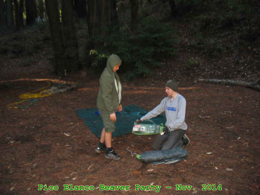 Picture 0027