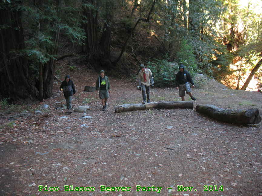 Picture 0030