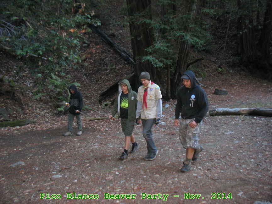 Picture 0031