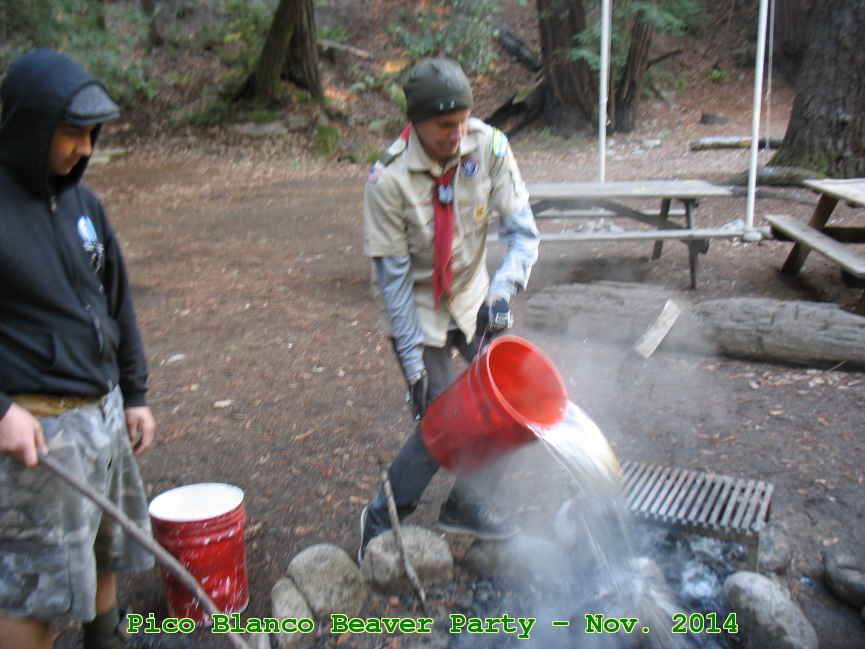 Picture 0034