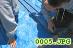 Picture 0005