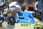 Picture 0007