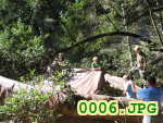 Picture 0006