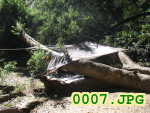 Picture 0007