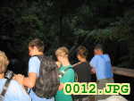 Picture 0012