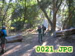 Picture 0021