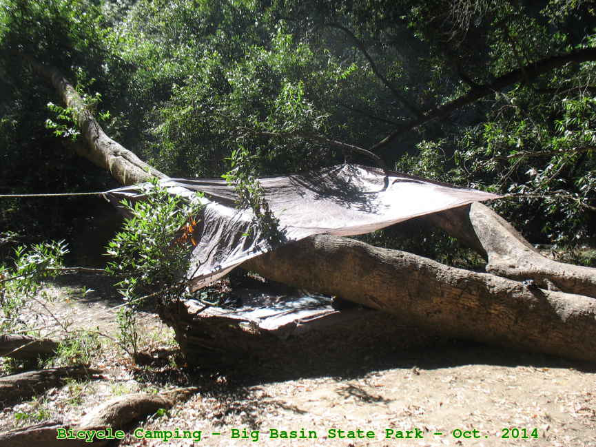 Picture 0007