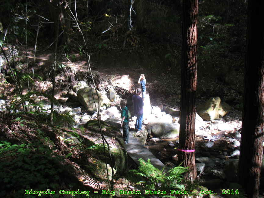 Picture 0008