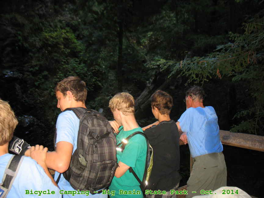 Picture 0012