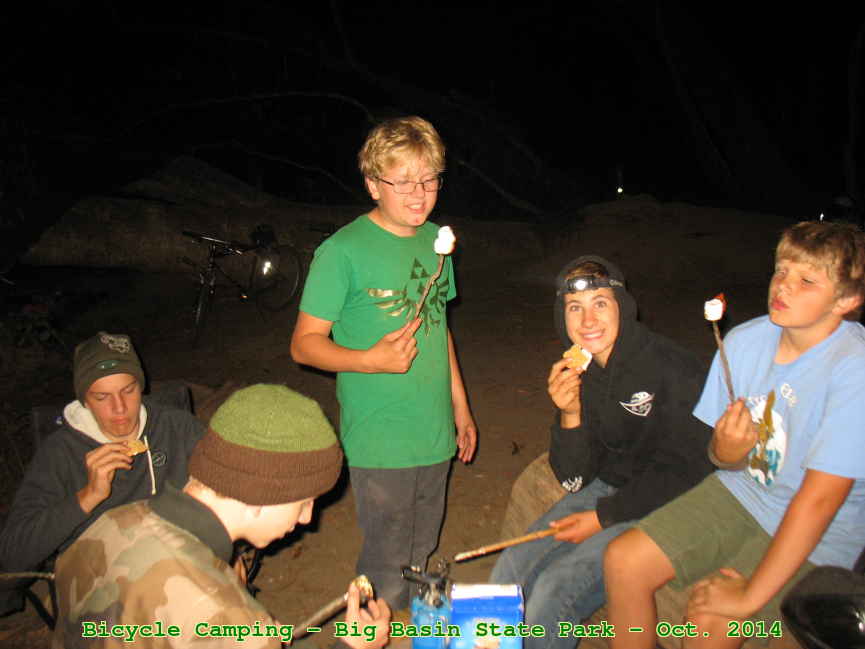 Picture 0019