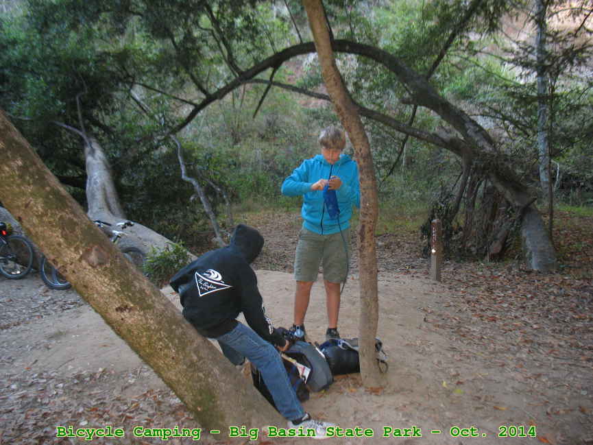 Picture 0020