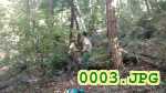 Picture 0003