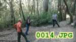 Picture 0014