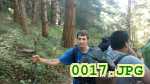 Picture 0017