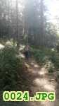 Picture 0024