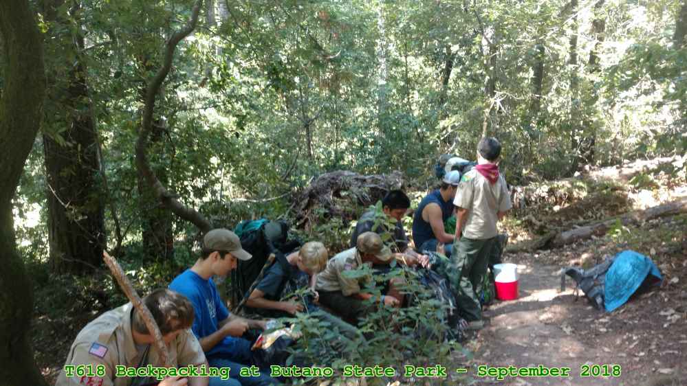 Picture 0005
