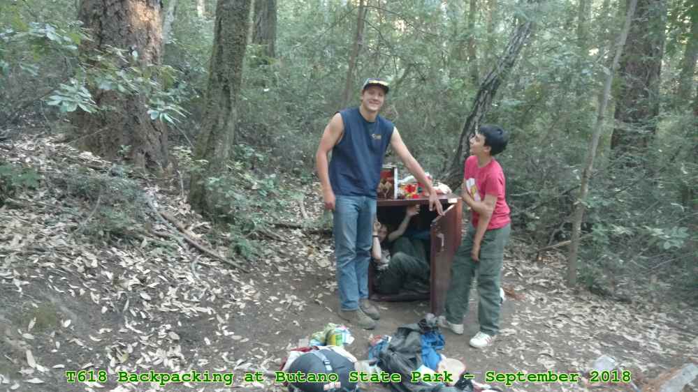 Picture 0010