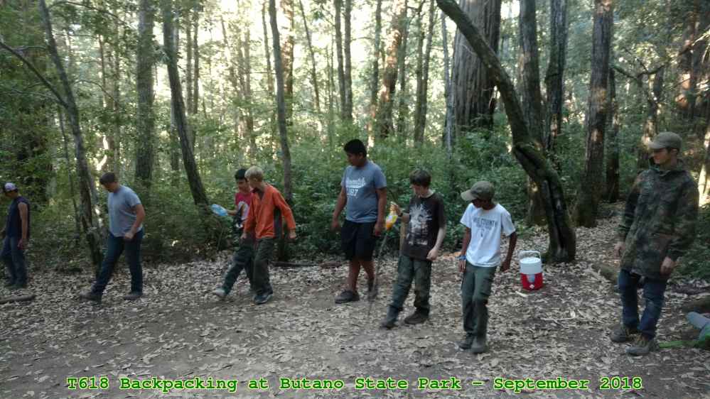 Picture 0015