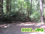 Picture 0001