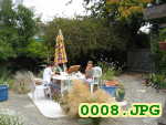 Picture 0008