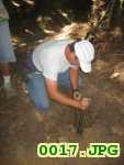 Picture 0017
