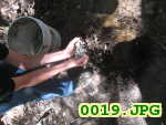 Picture 0019